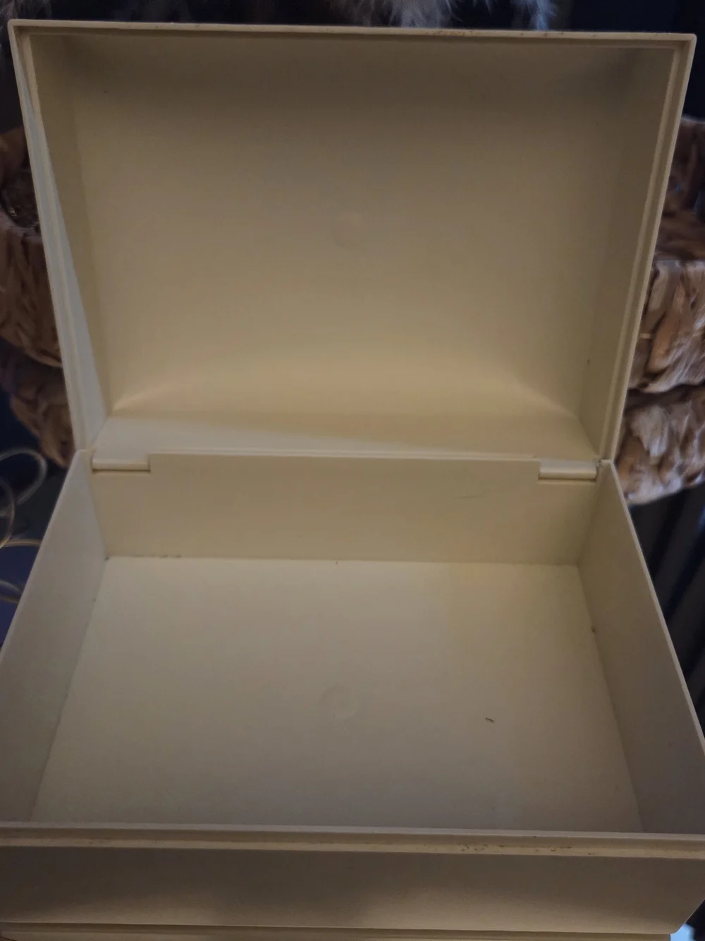 Vintage 70s Box |  Jewelery Box | Storage With Style |Cream Gold Birds Vanity